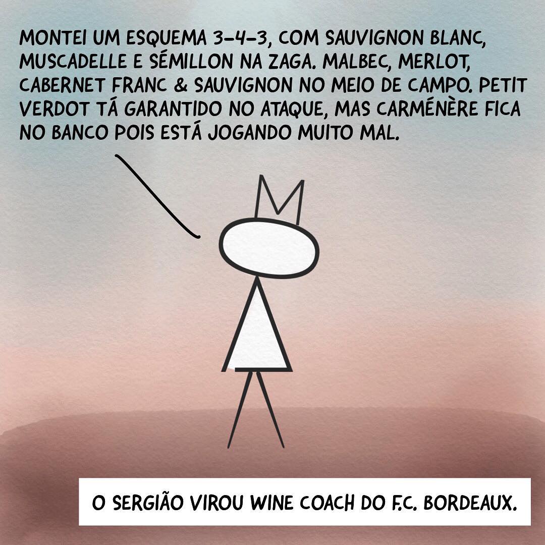 Sergião Wine Coach